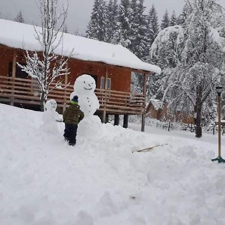 Cottage Shgedi ميستيا المظهر الخارجي الصورة