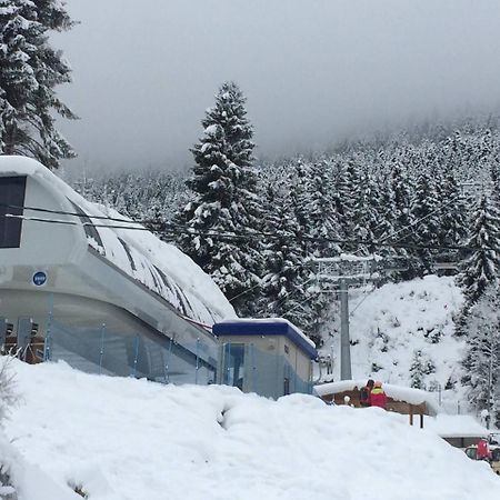 Cottage Shgedi ميستيا المظهر الخارجي الصورة