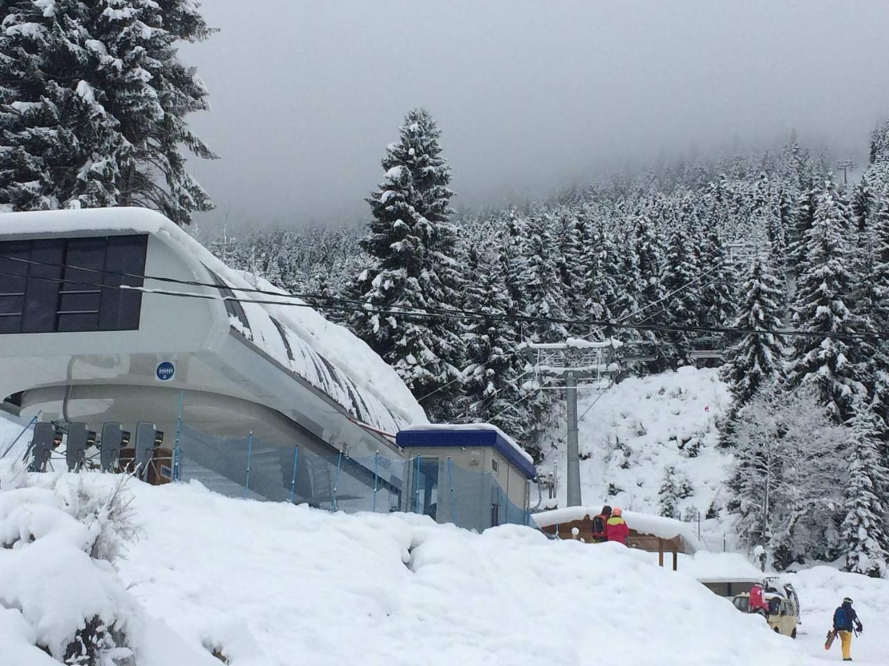 Cottage Shgedi ميستيا المظهر الخارجي الصورة