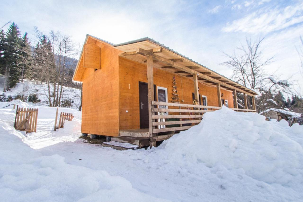 Cottage Shgedi ميستيا المظهر الخارجي الصورة