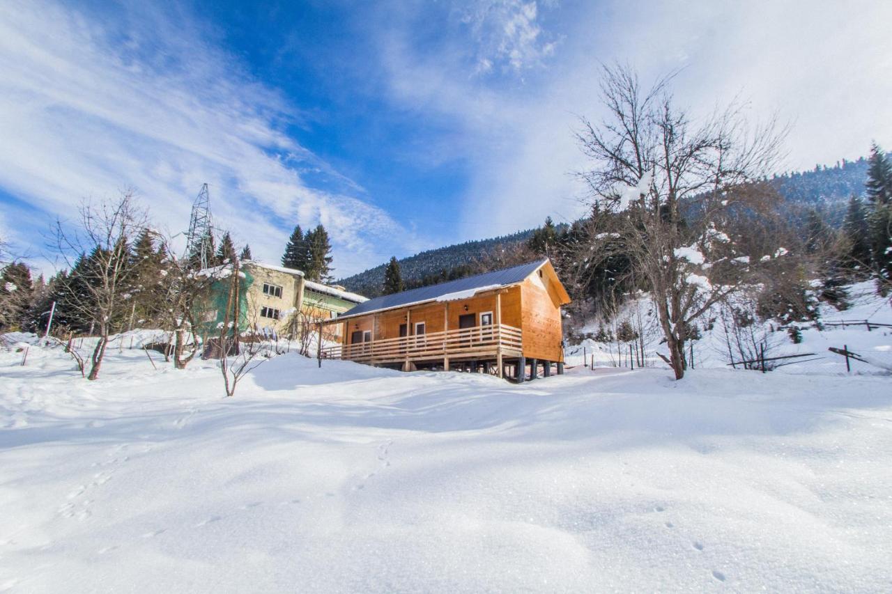 Cottage Shgedi ميستيا المظهر الخارجي الصورة