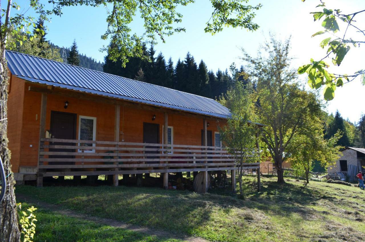 Cottage Shgedi ميستيا المظهر الخارجي الصورة