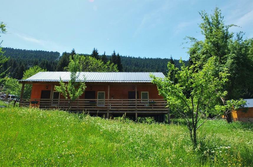Cottage Shgedi ميستيا المظهر الخارجي الصورة