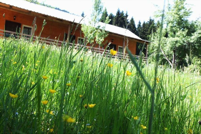 Cottage Shgedi ميستيا المظهر الخارجي الصورة